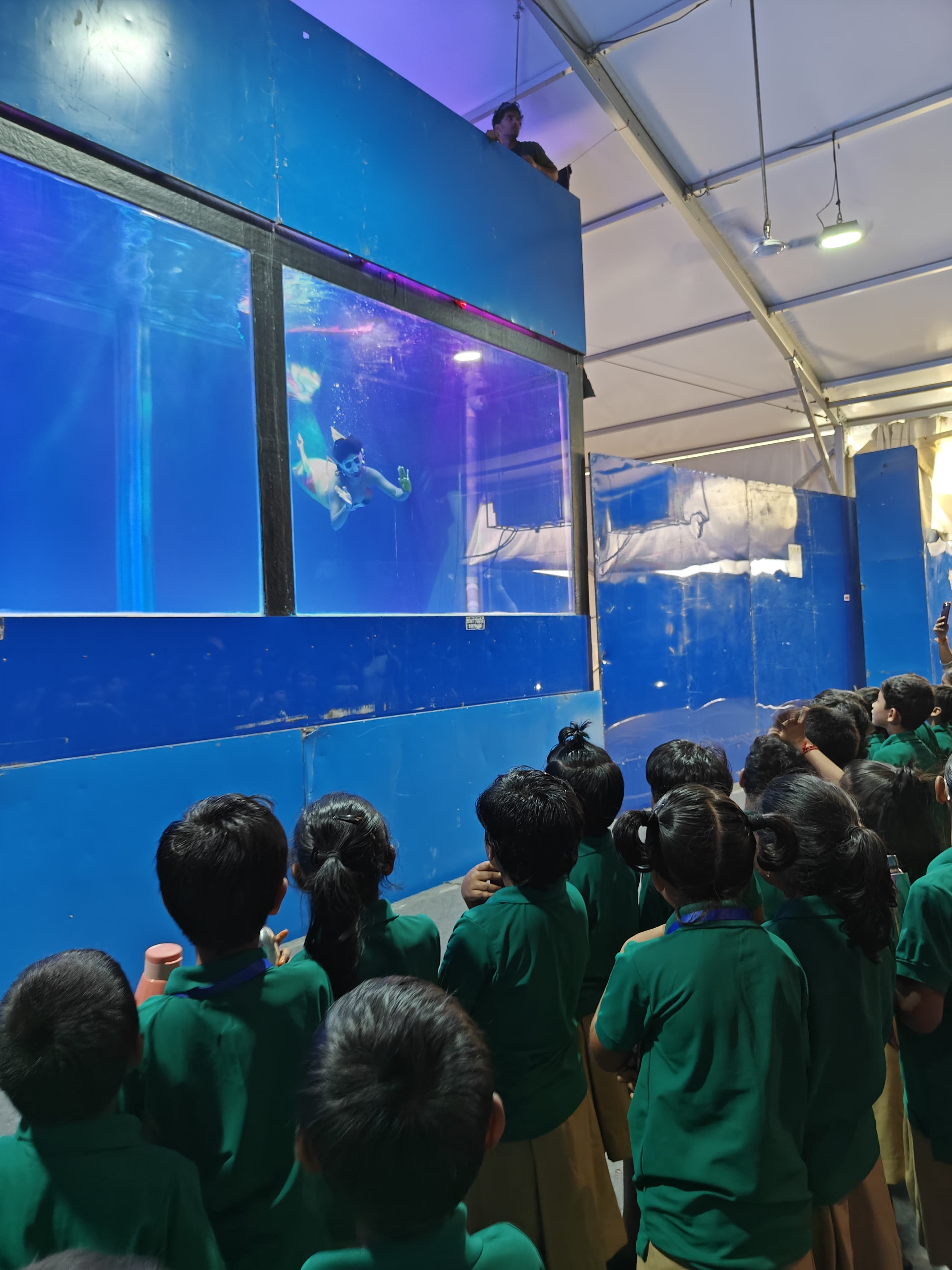 Field Trip - Nursery